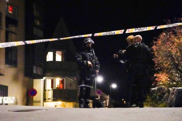 5 killed and 2 wounded in a bow and arrow attack in Norway